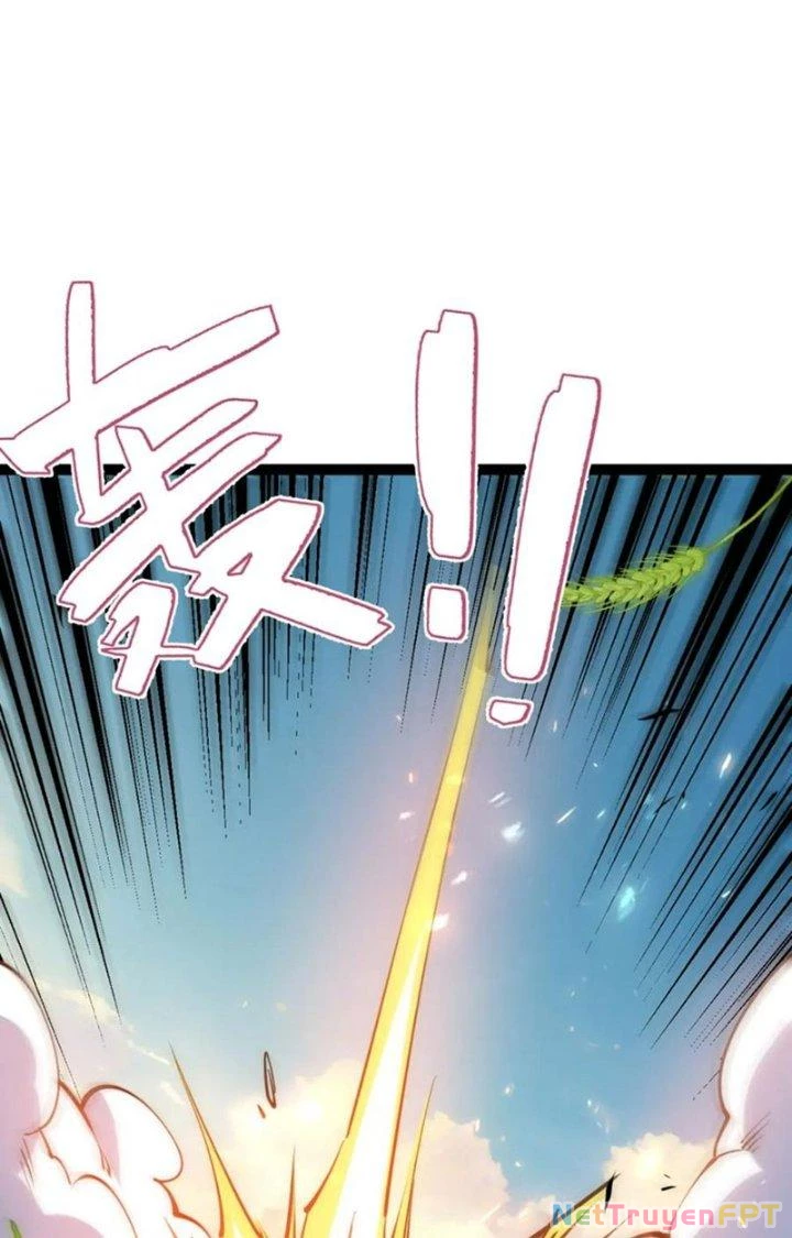 Toàn Thuộc Tính Võ Đạo Chapter 70 - Trang 4
