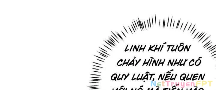 Linh Khí Khôi Phục: Ta Bắt Đầu Có Trảm Thiên Chi Nhãn Chapter 16 - Trang 3