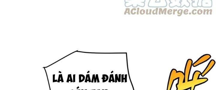 Linh Khí Khôi Phục: Ta Bắt Đầu Có Trảm Thiên Chi Nhãn Chapter 16 - Trang 3