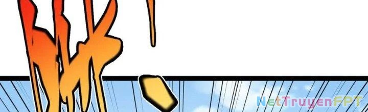 Linh Khí Khôi Phục: Ta Bắt Đầu Có Trảm Thiên Chi Nhãn Chapter 19 - Trang 3