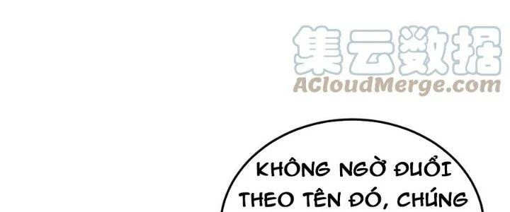 Linh Khí Khôi Phục: Ta Bắt Đầu Có Trảm Thiên Chi Nhãn Chapter 19 - Trang 3