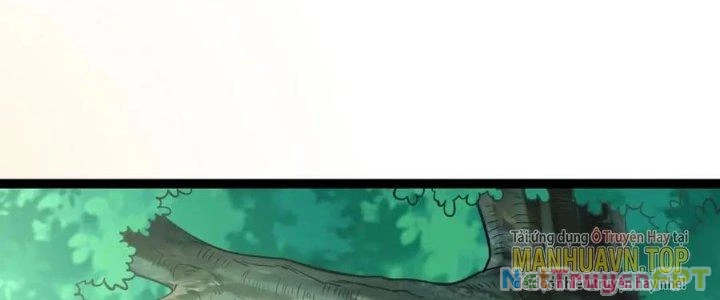 Linh Khí Khôi Phục: Ta Bắt Đầu Có Trảm Thiên Chi Nhãn Chapter 19 - Trang 3