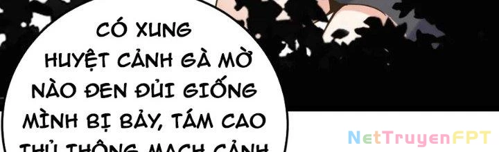Linh Khí Khôi Phục: Ta Bắt Đầu Có Trảm Thiên Chi Nhãn Chapter 19 - Trang 3
