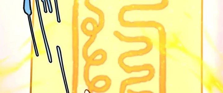 Linh Khí Khôi Phục: Ta Bắt Đầu Có Trảm Thiên Chi Nhãn Chapter 20 - Trang 3