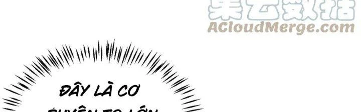 Linh Khí Khôi Phục: Ta Bắt Đầu Có Trảm Thiên Chi Nhãn Chapter 22 - Trang 3