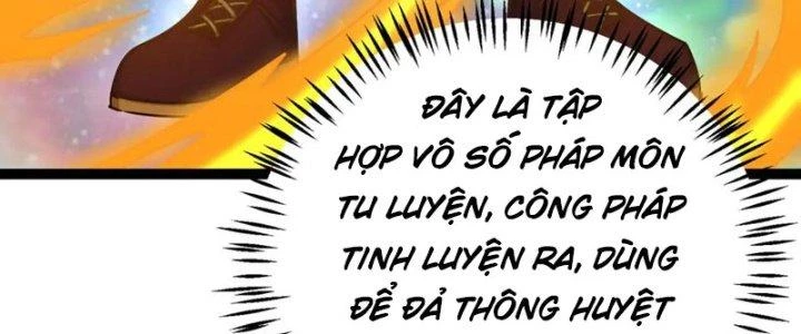 Linh Khí Khôi Phục: Ta Bắt Đầu Có Trảm Thiên Chi Nhãn Chapter 23 - Trang 3