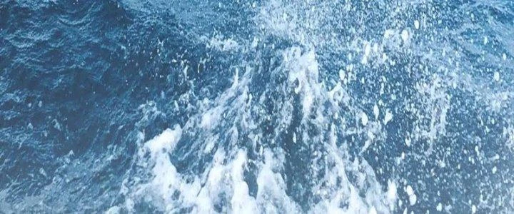 Linh Khí Khôi Phục: Ta Bắt Đầu Có Trảm Thiên Chi Nhãn Chapter 23 - Trang 3