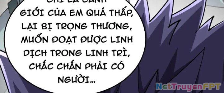 Linh Khí Khôi Phục: Ta Bắt Đầu Có Trảm Thiên Chi Nhãn Chapter 24 - Trang 3