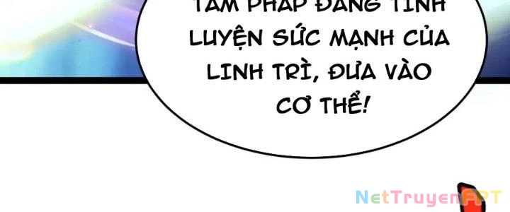 Linh Khí Khôi Phục: Ta Bắt Đầu Có Trảm Thiên Chi Nhãn Chapter 25 - Trang 3