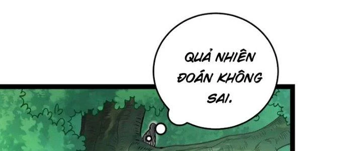 Linh Khí Khôi Phục: Ta Bắt Đầu Có Trảm Thiên Chi Nhãn Chapter 26 - Trang 3