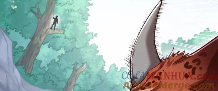 Linh Khí Khôi Phục: Ta Bắt Đầu Có Trảm Thiên Chi Nhãn Chapter 27 - Trang 3