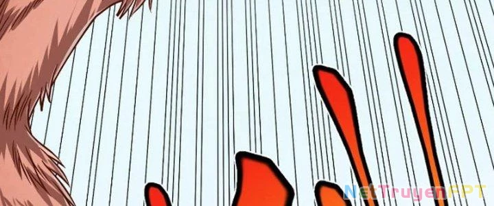 Linh Khí Khôi Phục: Ta Bắt Đầu Có Trảm Thiên Chi Nhãn Chapter 28 - Trang 3