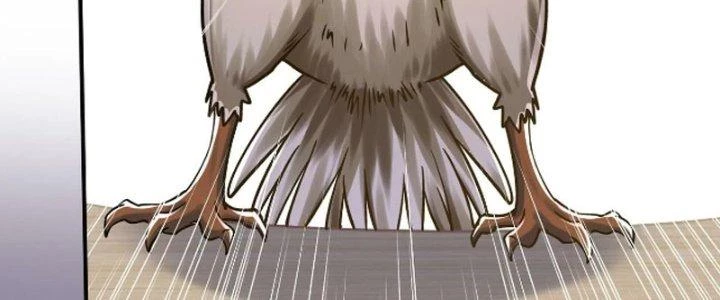 Linh Khí Khôi Phục: Ta Bắt Đầu Có Trảm Thiên Chi Nhãn Chapter 28 - Trang 3