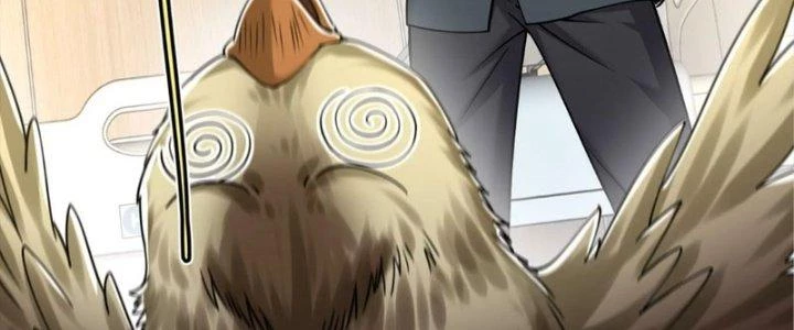 Linh Khí Khôi Phục: Ta Bắt Đầu Có Trảm Thiên Chi Nhãn Chapter 29 - Trang 3
