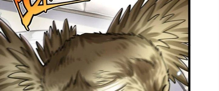 Linh Khí Khôi Phục: Ta Bắt Đầu Có Trảm Thiên Chi Nhãn Chapter 29 - Trang 3