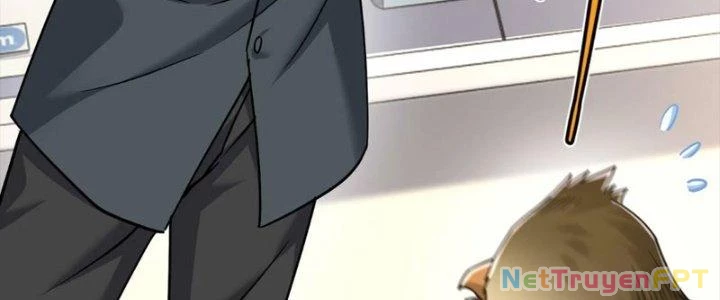 Linh Khí Khôi Phục: Ta Bắt Đầu Có Trảm Thiên Chi Nhãn Chapter 29 - Trang 3