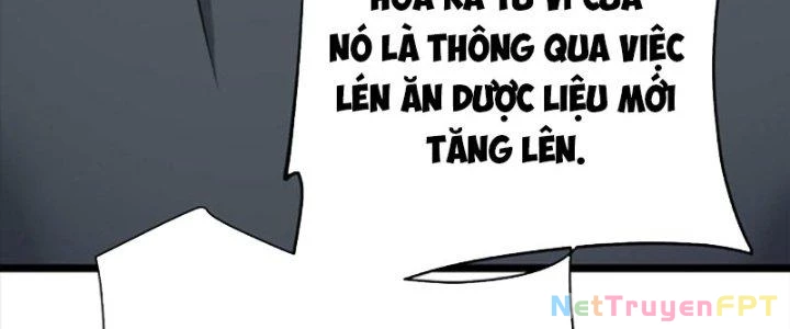 Linh Khí Khôi Phục: Ta Bắt Đầu Có Trảm Thiên Chi Nhãn Chapter 29 - Trang 3