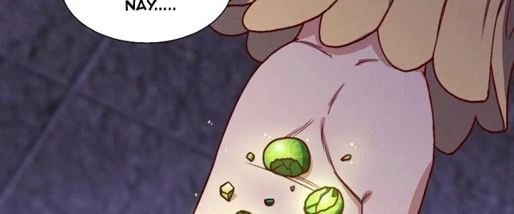 Chiếm Cái Đỉnh Núi Làm Đại Vương Chapter 159 - Trang 4