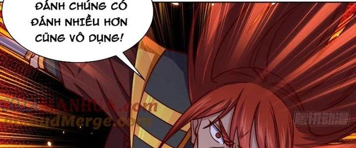 Chiếm Cái Đỉnh Núi Làm Đại Vương Chapter 159 - Trang 4