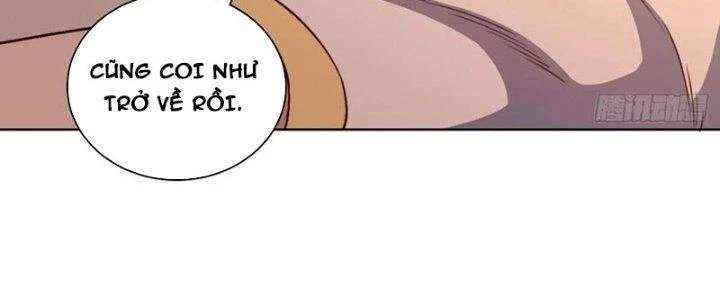 Chiếm Cái Đỉnh Núi Làm Đại Vương Chapter 160 - Trang 4