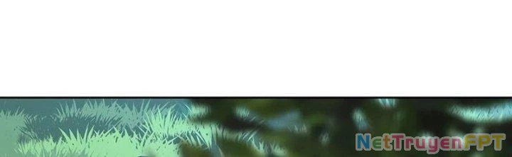 Chiếm Cái Đỉnh Núi Làm Đại Vương Chapter 160 - Trang 4