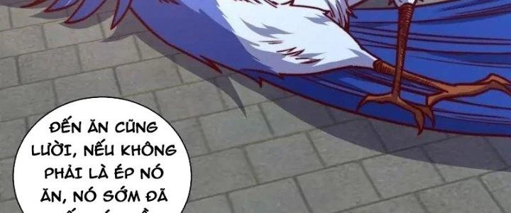 Chiếm Cái Đỉnh Núi Làm Đại Vương Chapter 162 - Trang 3