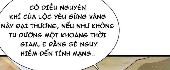 Lô Đỉnh Độc Quyền Của Các Nữ Đế Tương Lai Chapter 17 - Trang 3