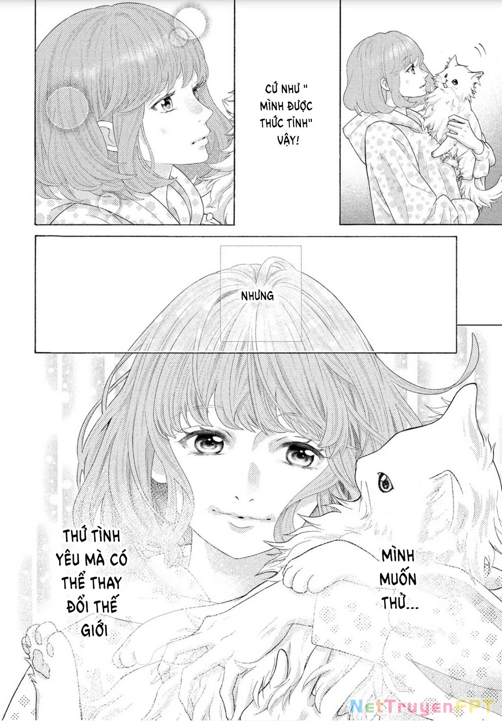 Lightning and Romance Chapter 1 - Trang 2