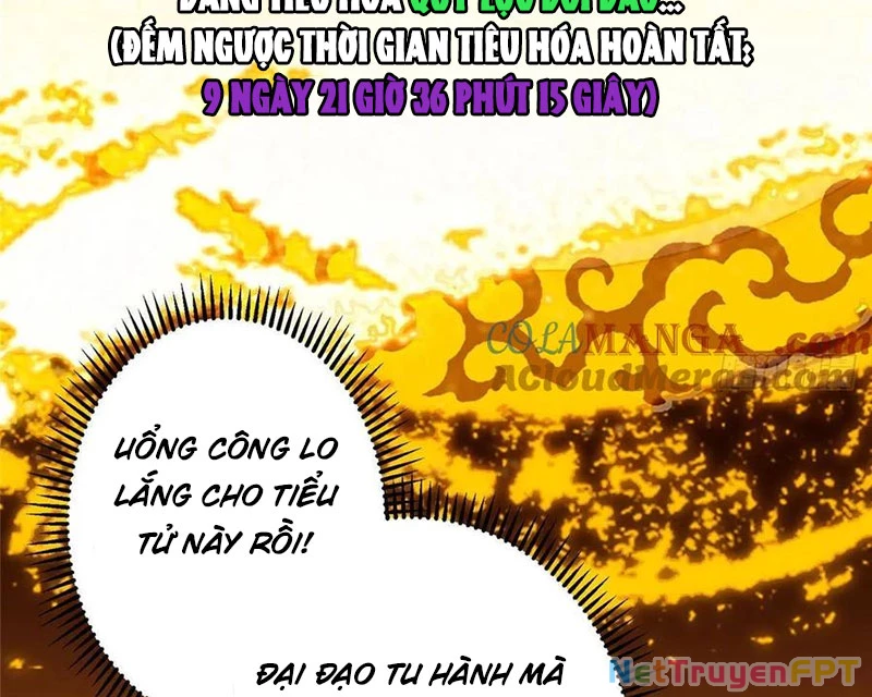 Chưởng Môn Khiêm Tốn Chút Chapter 481 - Trang 4