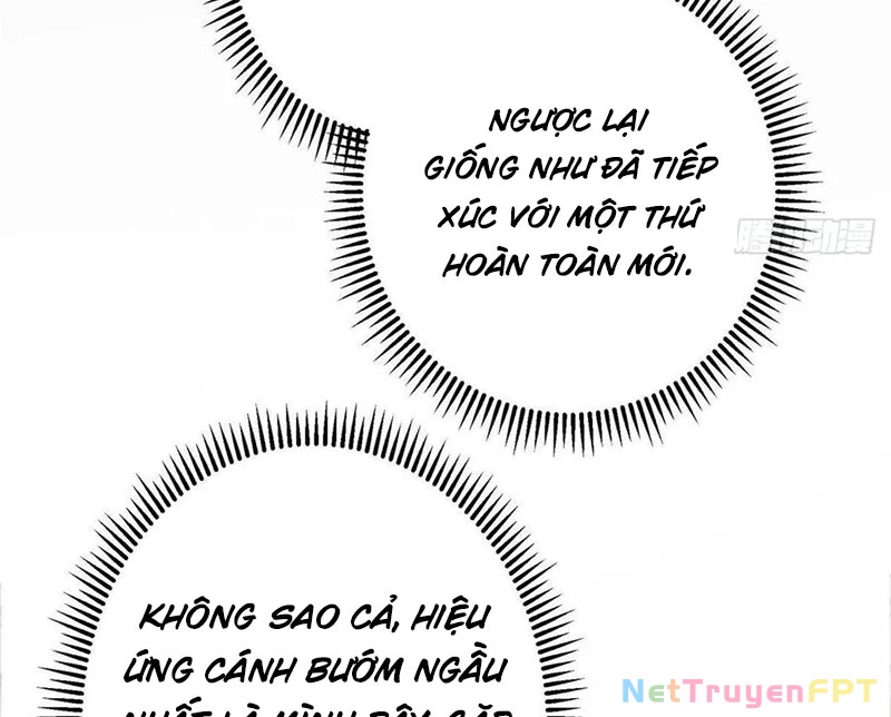 Chưởng Môn Khiêm Tốn Chút Chapter 481 - Trang 4