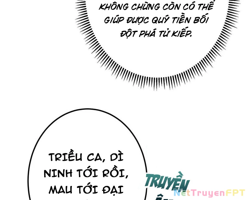 Chưởng Môn Khiêm Tốn Chút Chapter 481 - Trang 4