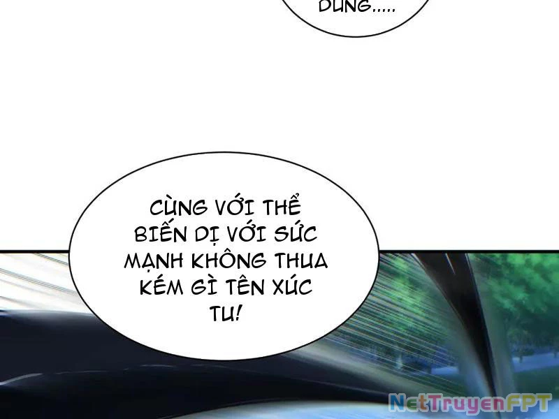 Mạt Thế Trùng Sinh: Ta Dựa Vào Mở Rương Vấn Dỉnh Đỉnh Phong Chapter 42 - Trang 3