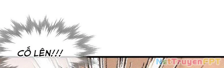 Trải Nghiệm Trở Thành Huyết Tộc Chapter 84 - Trang 3