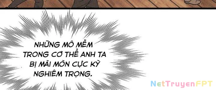 Trải Nghiệm Trở Thành Huyết Tộc Chapter 84 - Trang 3