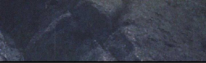 Trải Nghiệm Trở Thành Huyết Tộc Chapter 88 - Trang 2