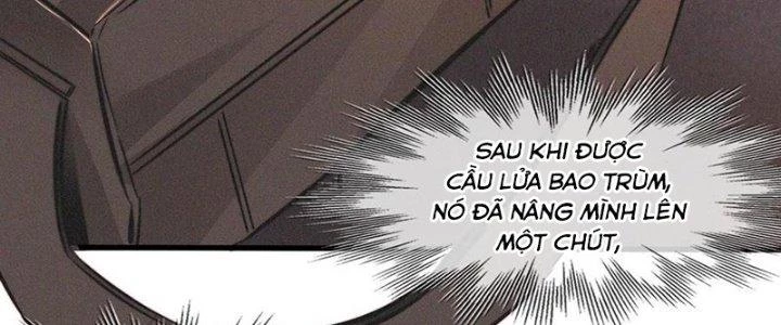 Trải Nghiệm Trở Thành Huyết Tộc Chapter 89 - Trang 3