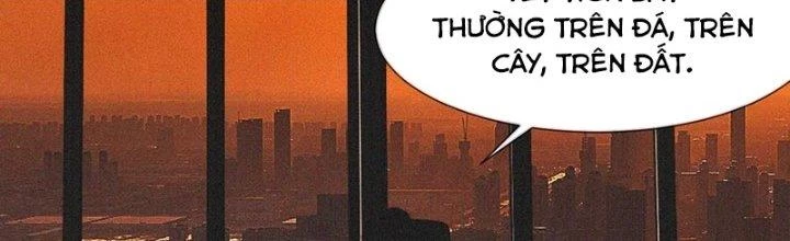 Trải Nghiệm Trở Thành Huyết Tộc Chapter 90 - Trang 3