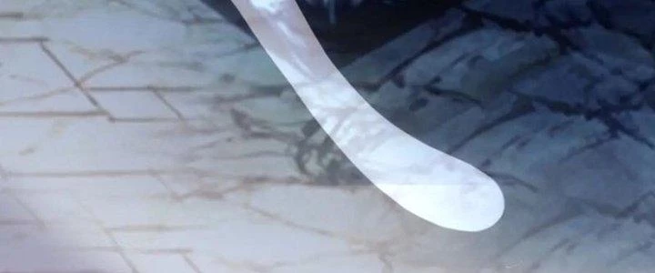 Đạo Sĩ Ma Pháp Dị Thế Giới Chapter 29 - Trang 3