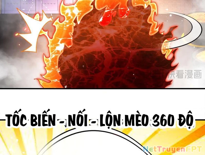 Tuyệt Sắc Đạo Lữ Đều Nói Ngô Hoàng Thể Chất Vô Địch Chapter 366 - Trang 4