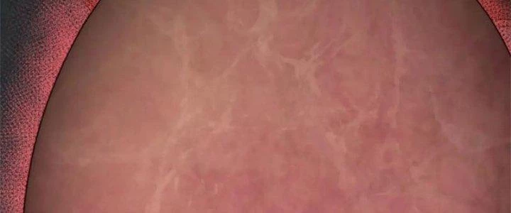 Mạt Thế Đạo Tặc Hành Chapter 135 - Trang 3