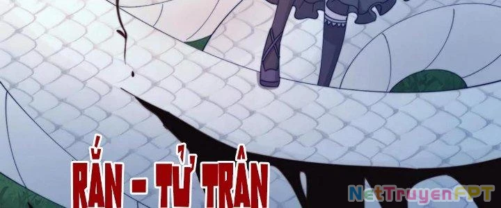 Thẻ Bài Của Ta Có Thể Vô Hạn Cường Hoá Chapter 18 - Trang 2