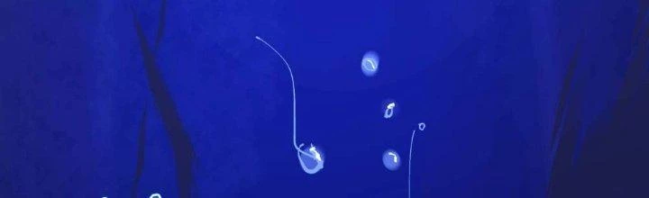 Ta Diệt Sát Chúng Thần Chapter 53 - Trang 3