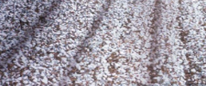 Ta Diệt Sát Chúng Thần Chapter 76 - Next Chapter 77