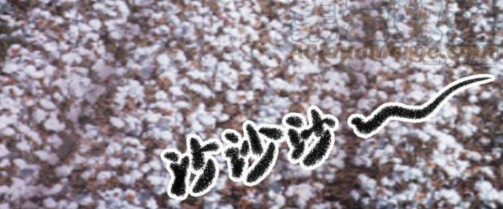 Ta Diệt Sát Chúng Thần Chapter 76 - Next Chapter 77