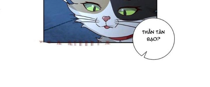 Ta Diệt Sát Chúng Thần Chapter 84 - Next Chapter 85