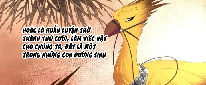 Ta Diệt Sát Chúng Thần Chapter 88 - Trang 3