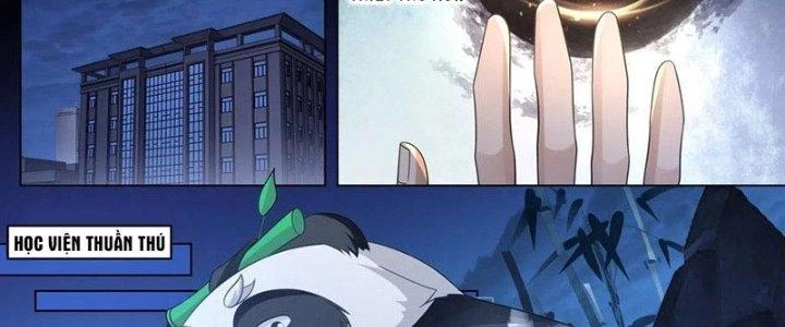 Vạn Tộc Chi Kiếp Chapter 453 - Trang 3
