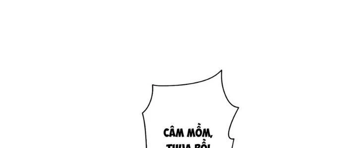 Ta Thật Sự Không Phải Thiên Mệnh Chi Tử Chapter 29 - Trang 3