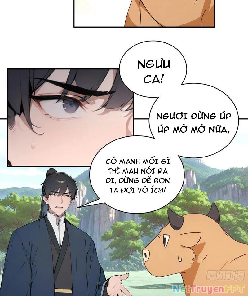 Bách Thê Phổ: Thánh nữ đều gọi ta là phu quân Chapter 39 - Trang 3