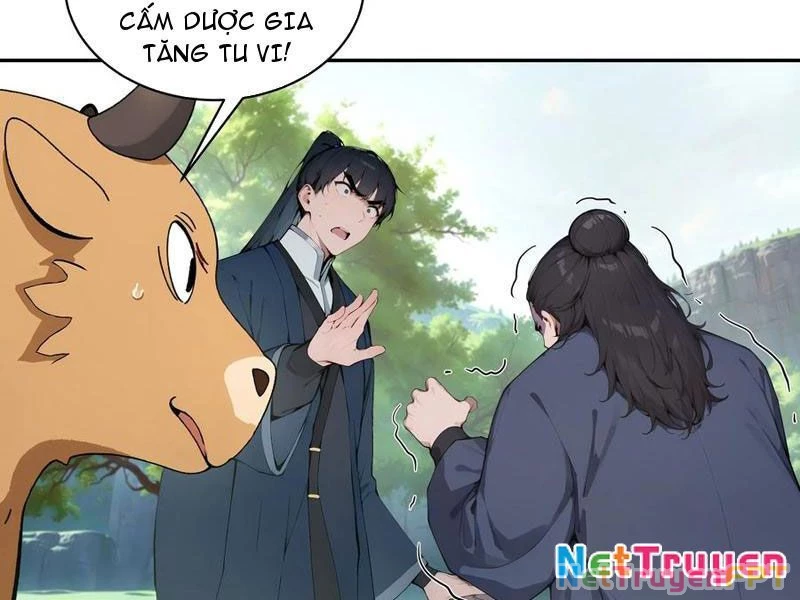Bách Thê Phổ: Thánh nữ đều gọi ta là phu quân Chapter 41 - Trang 3
